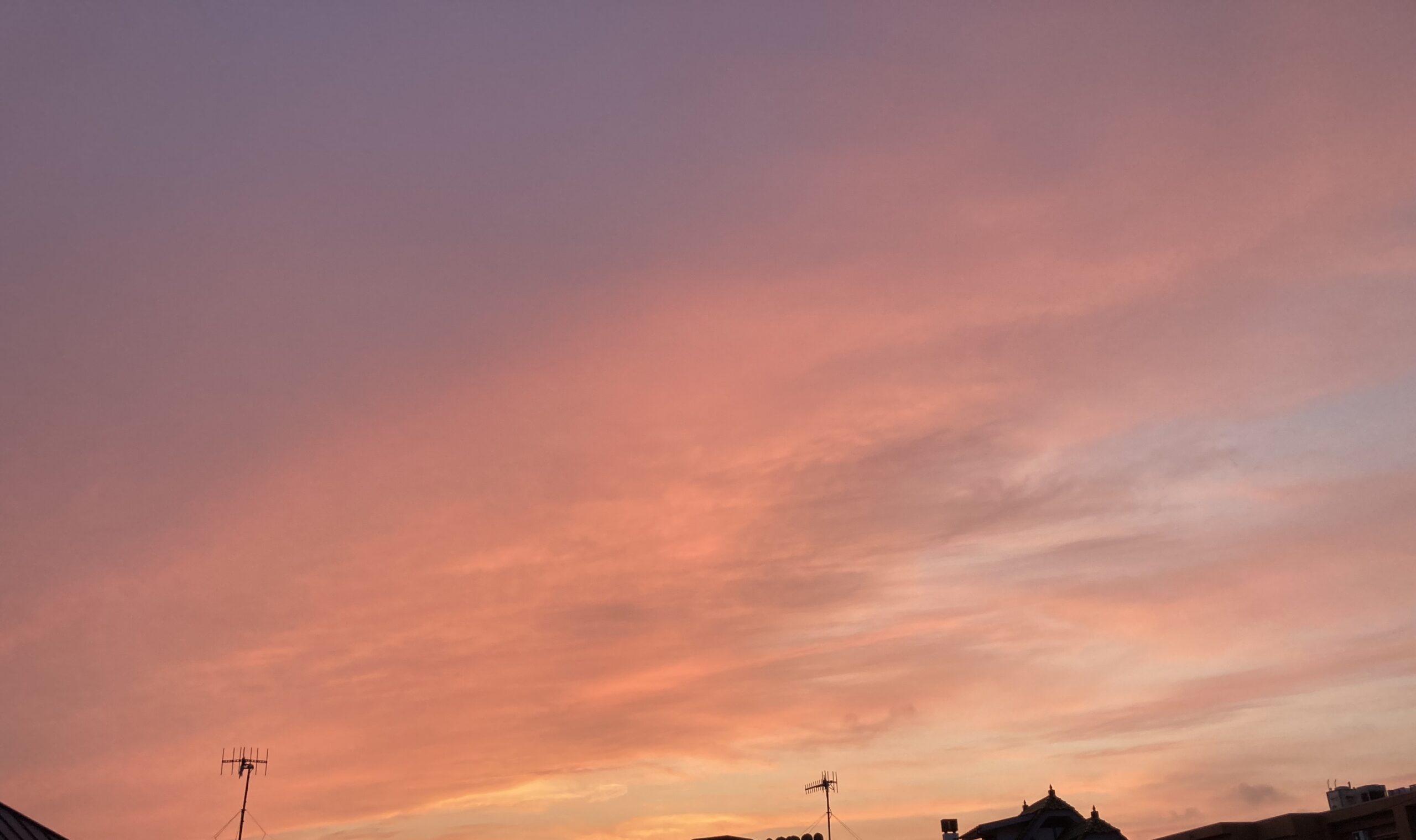 湘南 夏の兆し・・・・