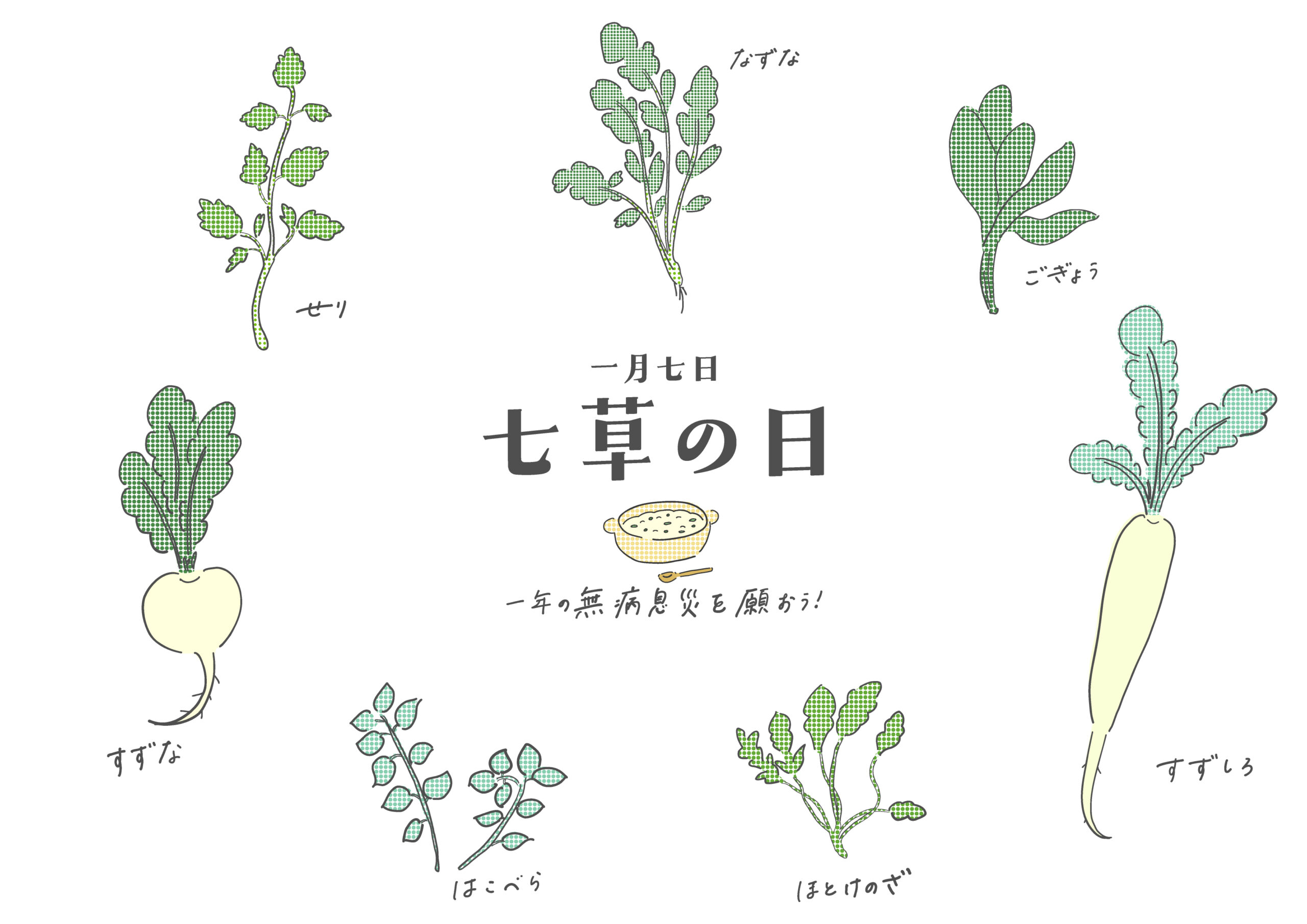 今日は「七草」